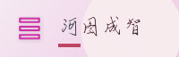 合作伙伴